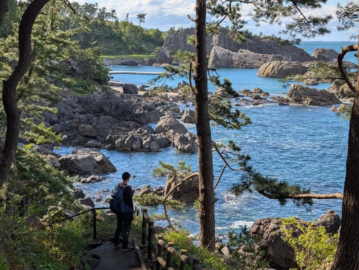A hiker on a pine-shaded coastal path above the rocky shore near Hirono, on the Sanriku coast.